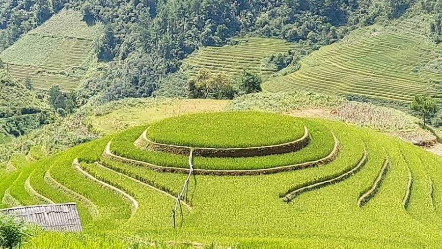 From Hanoi: 2 Day Sapa Trekking To Village & Bungalow, Meals - Packing and trekking tips: fog, shoes, sun, and altitude comfort