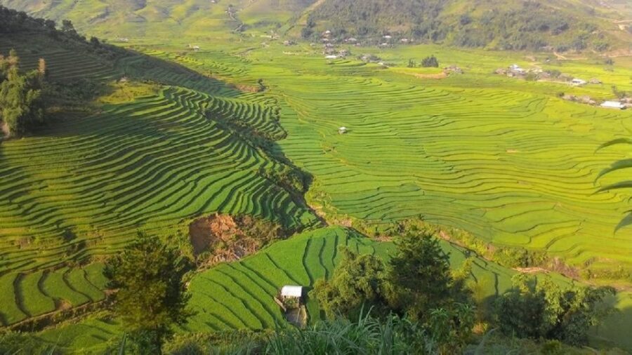 From Hanoi: 2 Day Sapa Trekking To Village & Bungalow, Meals - Day 1 walking: Y Linh Ho, rice terraces, Lao Chai, and Ta Van at sunset