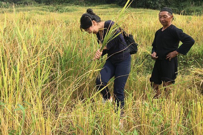 From Hanoi: 2 Days Sapa Trek & Fansipan Adventure with Dcar - Muong Hoa Valley villages: what Lao Chai and Ta Van add