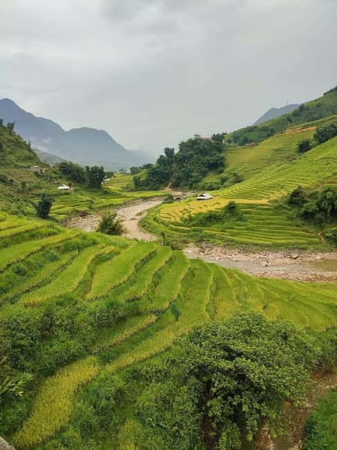 From Hanoi: 2-Days Sapa Trek Lao Chai/Cat Cat, Fansipan Peak - Meals, guides, and how the trip is paced