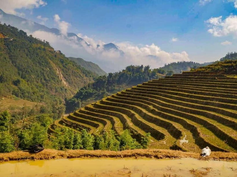From Hanoi: 2-Days Sapa Trek Lao Chai/Cat Cat, Fansipan Peak - Practical tips so the days feel good, not hard