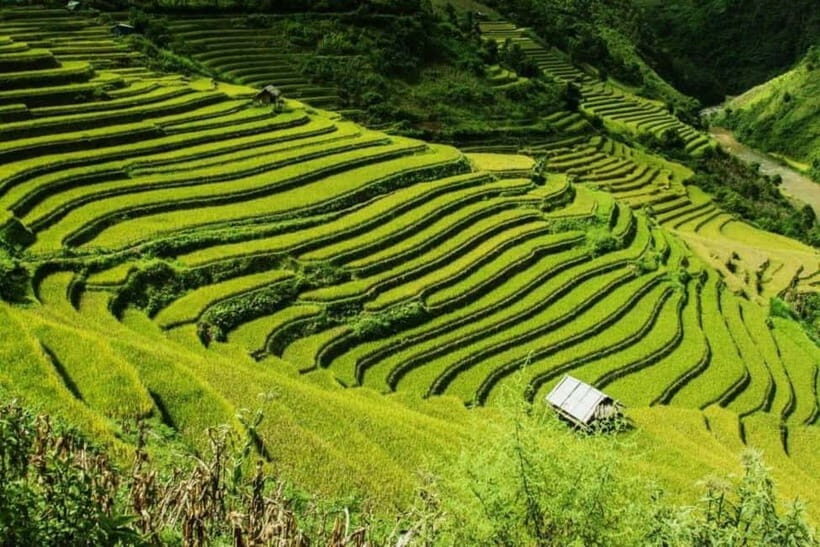 From Hanoi: 2-Days Sapa Trek Lao Chai/Cat Cat, Fansipan Peak - Day 1 trekking: Cat Cat vs Lao Chai/Ta Van