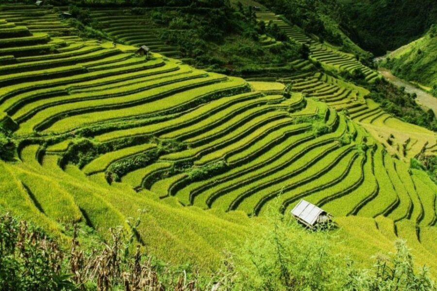 From Hanoi: 2-Days Sapa Trekking Tour Lao Chai and Cat Cat - Sapa in 2 Days: Why This Itinerary Works