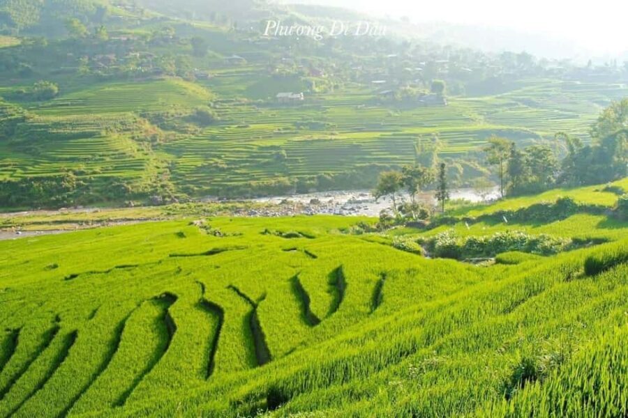 From Hanoi: 2-Days Sapa Trekking Tour Lao Chai and Cat Cat - Day 2: Lao Chai to Ta Van Trek Through Rice Terraces and Stream Valleys