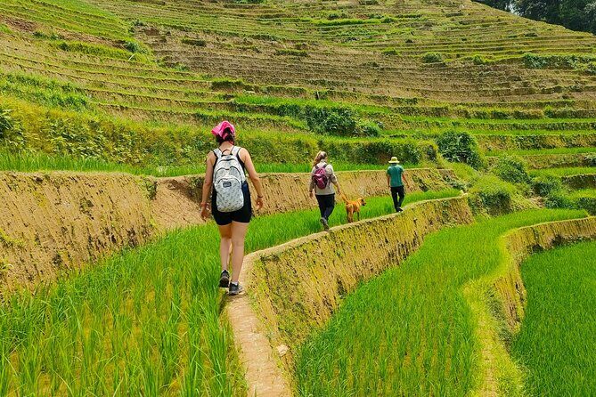 From Hanoi: 2D1N Mu Cang Chai Private Trekking & Homestay - Key highlights worth planning around