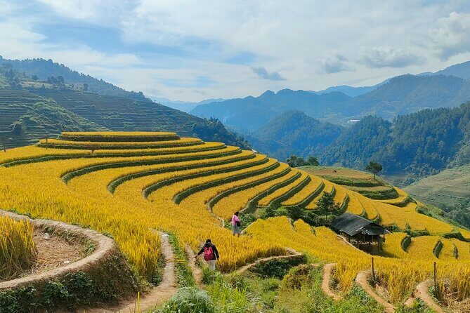 From Hanoi: 2D1N Mu Cang Chai Private Trekking & Homestay - Who should book this private Mu Cang Chai trek