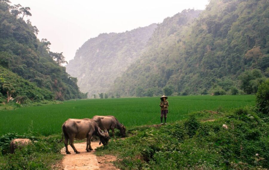 From Hanoi: 3-Day Ba Be Lake & Ban Gioc Falls Private Tour - FAQ