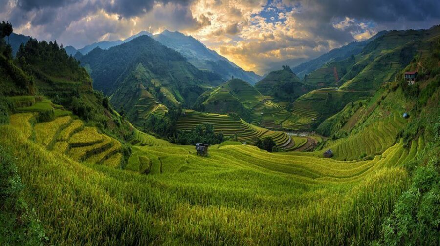 From Hanoi: 3-Day Sapa Trekking with Limousine Transfer - Day 2: the hard day you came for—rice terraces, Ta Van, and remote villages