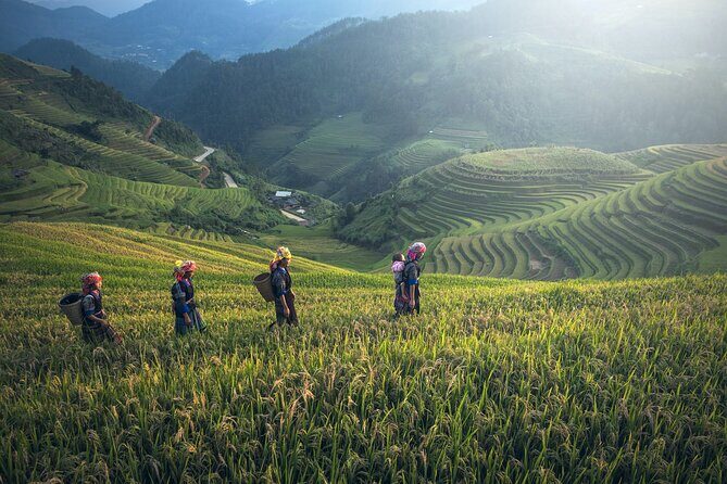 From Hanoi: 3 Days Sapa Trekking & Ethnic Villages by Dcar - Pacing, Fitness Level, and Who This Trip Suits Best
