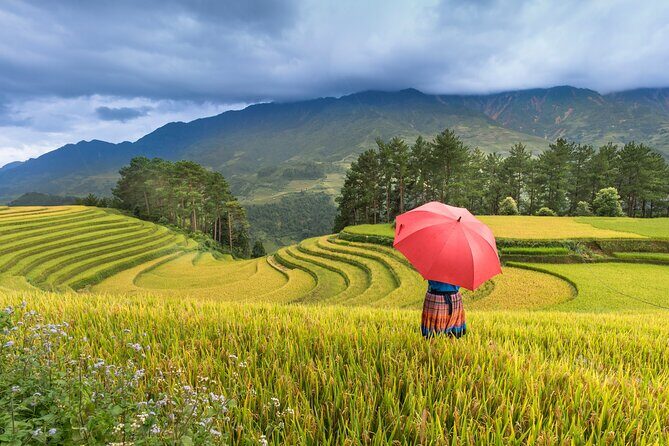 From Hanoi: 3 Days Sapa Trekking & Ethnic Villages by Dcar - Sapa Weather Reality: Pack Layers for a Four-Feel-Day