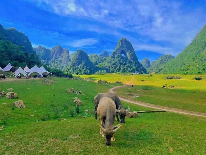 From Hanoi: Ban Gioc Waterfall 2 Day 1 Night - Small Group - Crowd Reality at Ban Gioc Falls: How to Keep the Magic