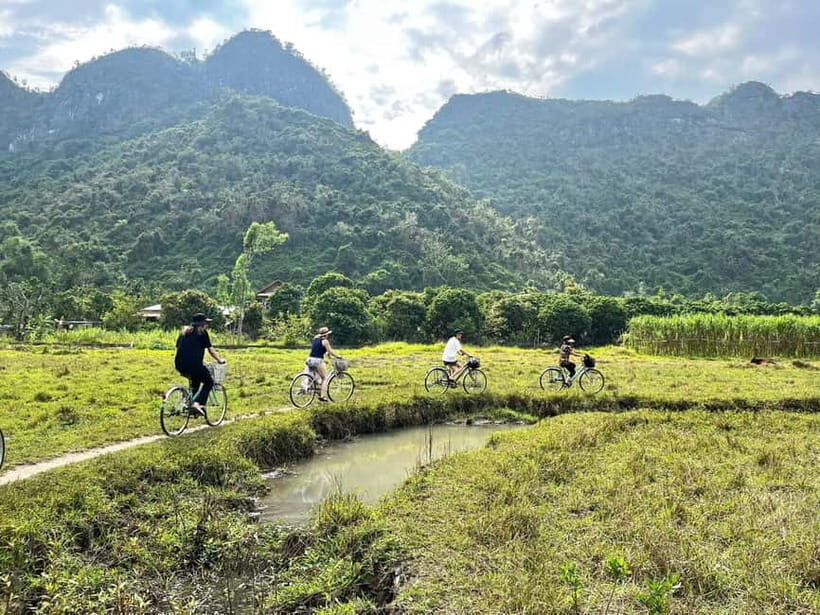 From Hanoi/Cat Ba: Lan Ha Bay Day Trip with Cruise and Lunch - Quick highlights