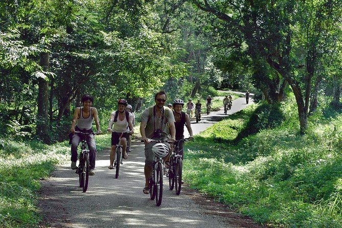From Hanoi: Cuc Phuong National Park Day Trip by Private Car - Stop 1: Cuc Phuong National Park and the guided rainforest trek