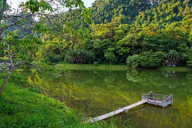 From Hanoi: Cuc Phuong National Park Day Trip by Private Car - Primate Rescue Centre: why this stop feels meaningful, not just decorative