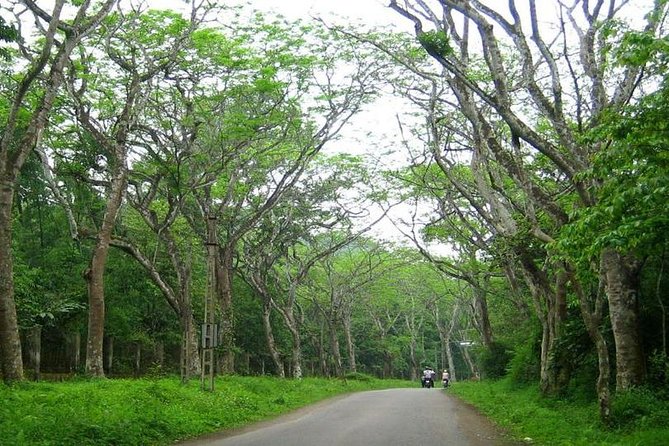 From Hanoi: Cuc Phuong National Park Day Trip by Private Car - Is $135.14 a good deal? Value vs. cost for this private day trip