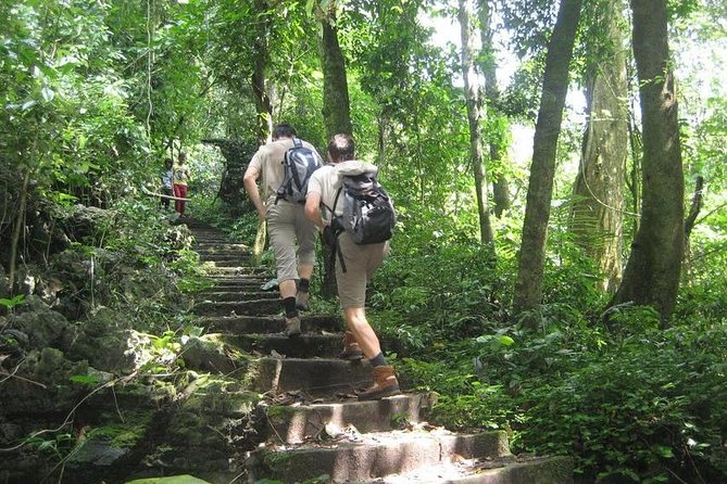 From Hanoi: Cuc Phuong National Park Day Trip by Private Car - Private car from Hanoi: comfort, control, and fewer day-trip headaches