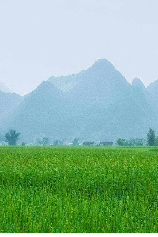 From Hanoi: Easy Rider 2 Day Motorbike Tour of Cao Bang Loop - Day 2: cave trek, Truc Lam pagoda, and Ban Gioc by boat