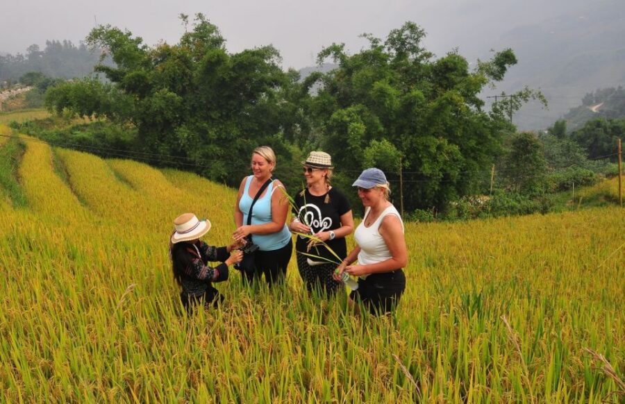 From Hanoi: Explore Sapa 2-Day Tour - Packing and pace: cold weather, trekking shoes, and a light day pack
