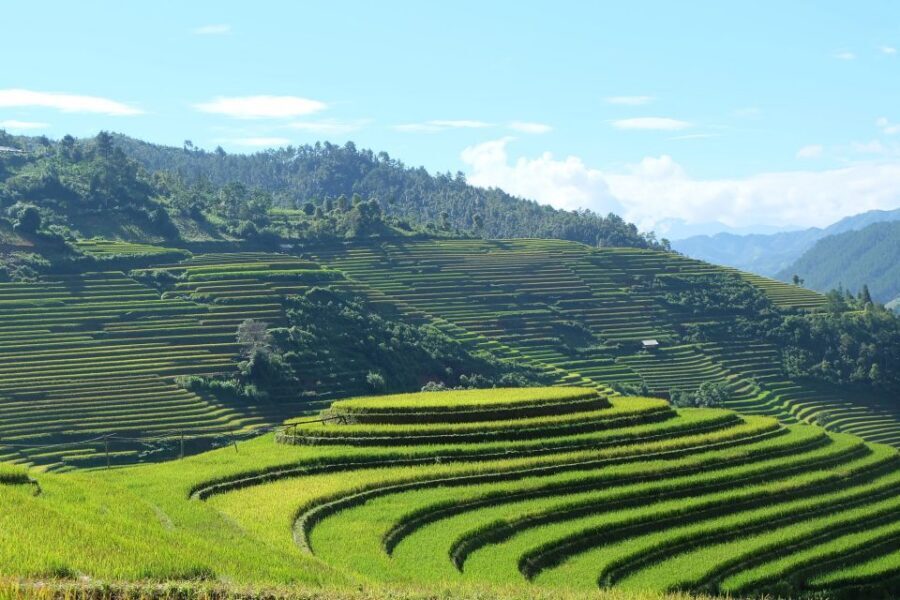 From Hanoi: Explore Sapa 2-Day Tour - Who this Sapa tour is best for (and who should skip it)