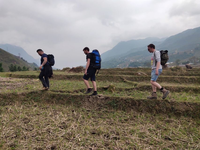 From Hanoi: Guided 2-Day Tour of Sa Pa with Lunch & Dinner - Day 2: bamboo forest, Giang Ta Chai views, and a suspension bridge