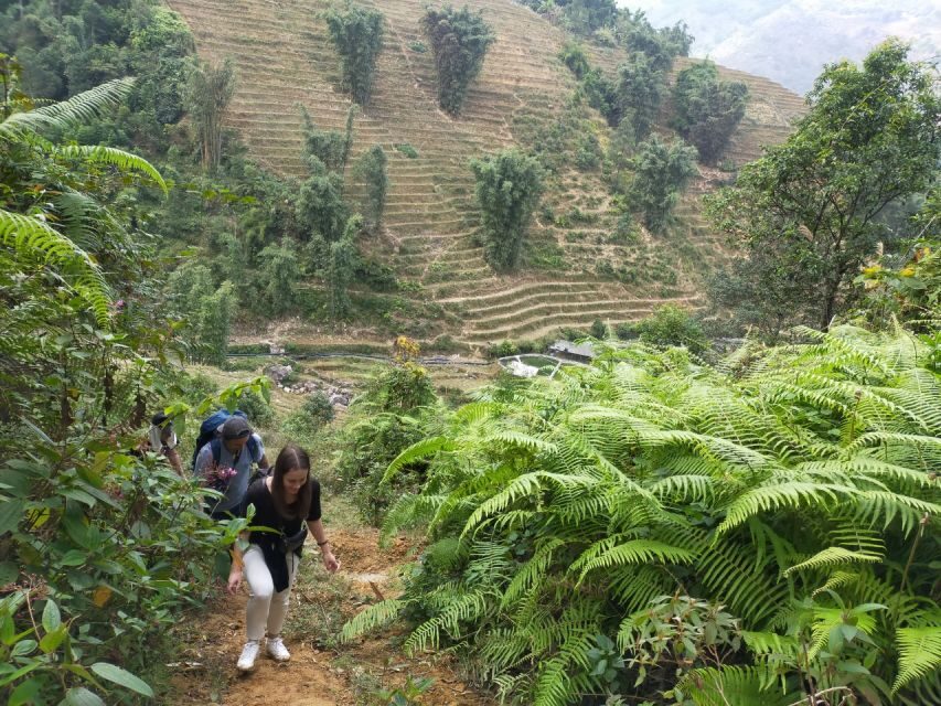 From Hanoi: Guided 2-Day Tour of Sa Pa with Lunch & Dinner - Price and value: what you’re really paying for at $84