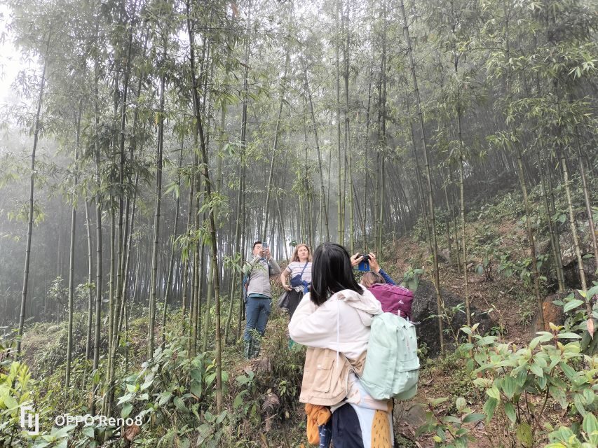 From Hanoi: Guided 2-Day Tour of Sa Pa with Lunch & Dinner - Who should book this Sa Pa trek, and who should skip it