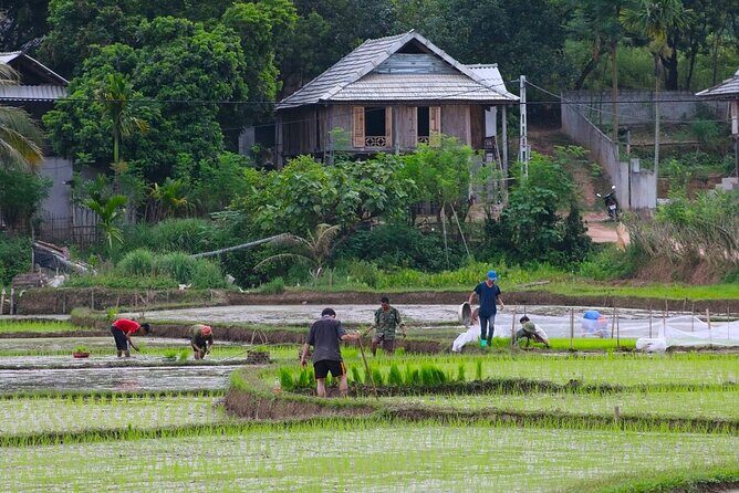 From Hanoi Hidden Gems of Mai Chau Explore Rural Villages by Bike - How to Get the Most From This Ride: Practical Tips