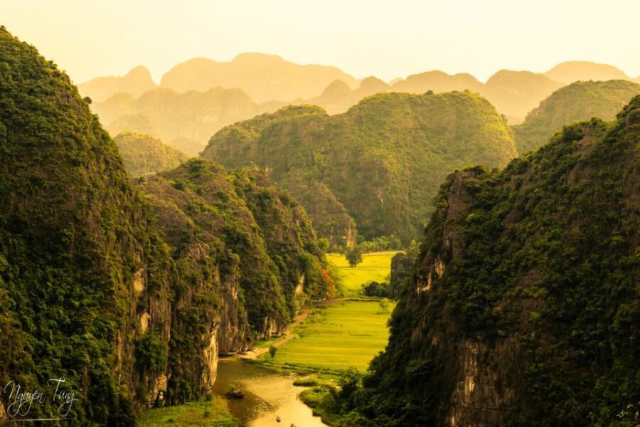 From Hanoi: Hoa Lu, Hang Mua Hike, Tam Coc Boat, and Lunch - Hang Múa’s 500 steps: earning panoramic rice-field views at Mua Cave