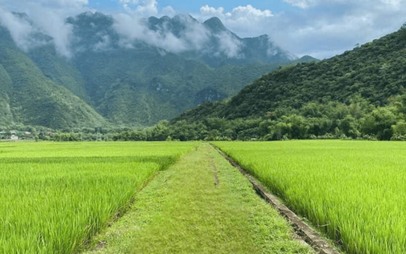 From Hanoi: Mai Chau Full-day Biking Tour - Thung Khe Pass and Com Lam: The Road Stop That Feels Like a Mini Experience