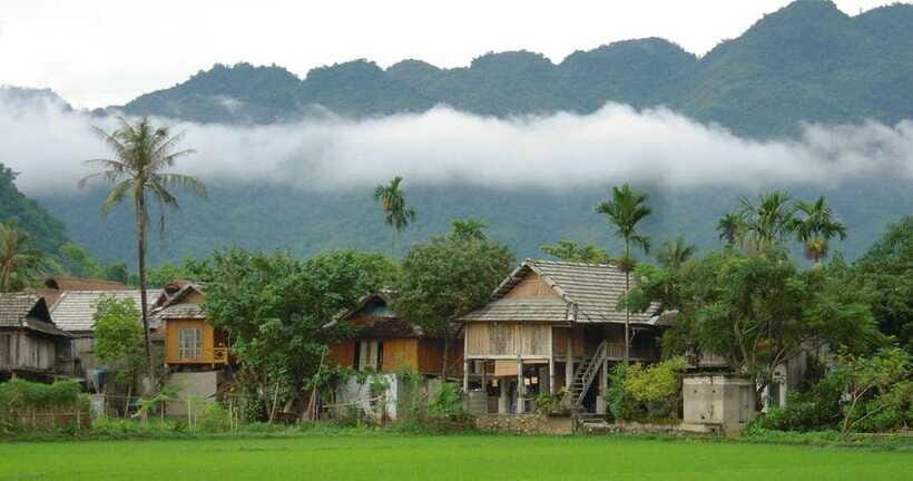 From Hanoi: Mai Chau Valley Day Trip with Cycling - Cycling through rice paddies: what the ride is like (and what to expect)