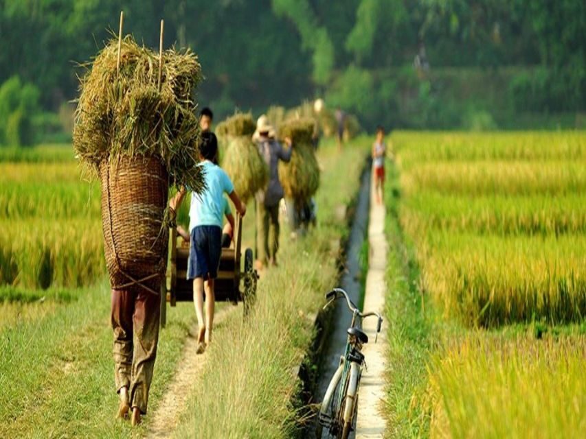From Hanoi: Mai Chau Valley & Hill Tribes 2-Day Trek Tour - Day 2 itinerary: breakfast, cycling 2 km, then Na Meo/Na Mo/Xam Pa trek