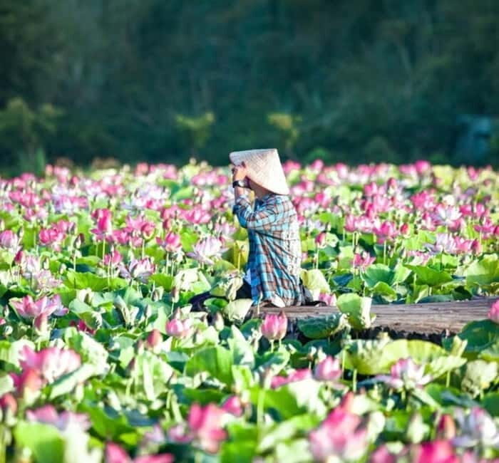 From Hanoi: Ninh Binh Bai Dinh or Hoa Lu, Trang An, Mua Cave - Who Should Book This Ninh Binh Day Trip