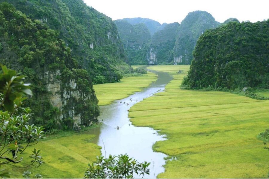 From Hanoi: Ninh Binh & Cuc Phuong National Park 2-Day Tour - A Two-Day Reset From Hanoi, Without the Chaos