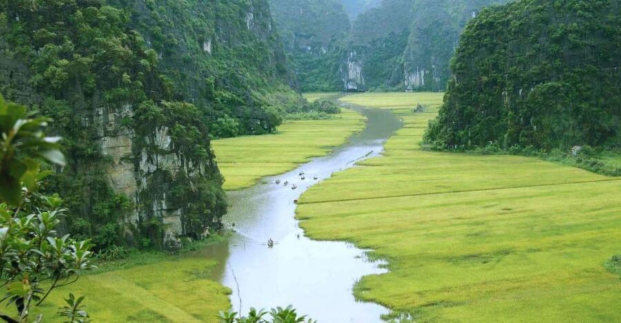 From Hanoi: Ninh Binh & Cuc Phuong National Park 2-Day Tour - Hoa Lu Ancient Capital: Where You Can Read the Past on Stone
