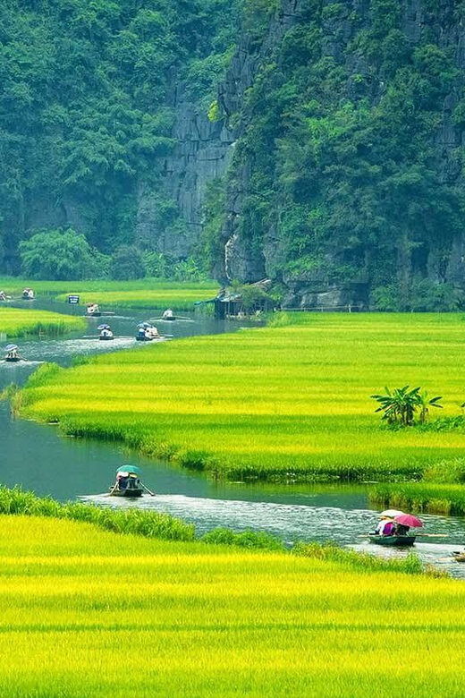 From Hanoi: Ninh Binh, Hoa Lu, Tam Coc and Mua cave - Lunch in Ninh Binh: buffet food with options you’ll like