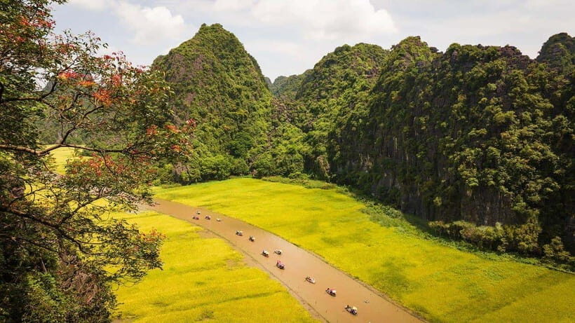From Hanoi: Ninh Binh- Hoa Lu-Tam Coc- Mua Cave- Highlight - Key reasons this day trip works