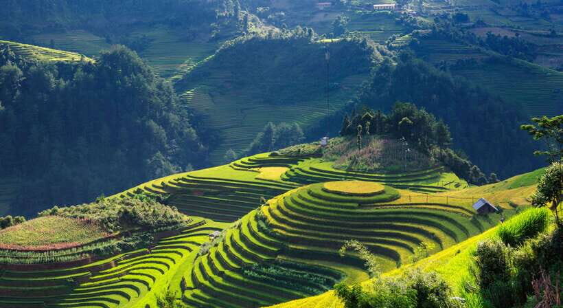 From Hanoi: Premium 3-Day Sapa Adventure with DCAR Limousine - Sapa in three days: what this trip does well