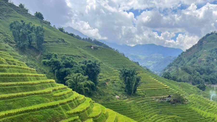 From Hanoi: Sapa 2D1N Homestay overnight by Morning bus - Mountain Light Homestay in Ta Van: Check-In, Cooking Class, Dinner