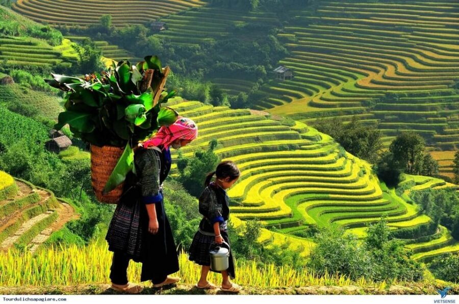 From Hanoi: Sapa 3D2N – Cat Cat Village, Fansipan Peak,Moana - Practical tips to make the day smoother