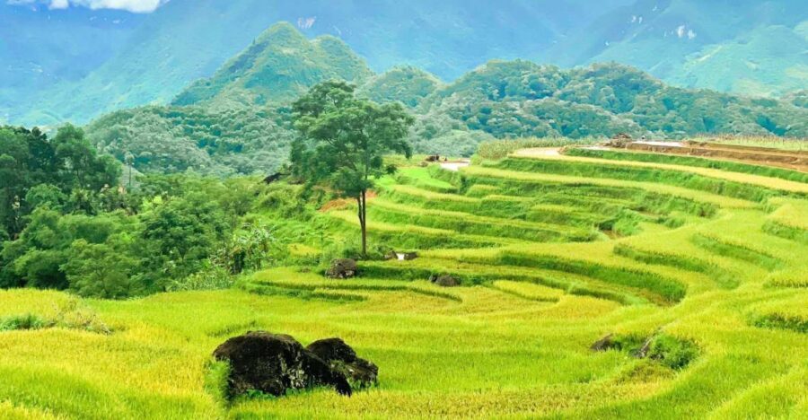 From Hanoi to Pu Luong: 2-Day Trip in Ethnic Villages - Day 1 in Pu Luong: lunch, check-in, then straight into Thai village scenery