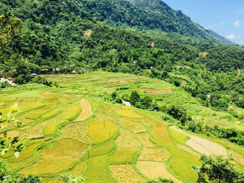 From Hanoi to Pu Luong: 2-Day Trip in Ethnic Villages - Who this tour is best for (and who should think twice)