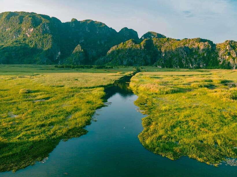 From Ninh Binh: Cuc Phuong National Park 1-Day Small Group - Key Points You’ll Care About