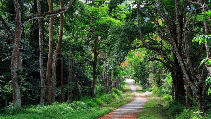 From Ninh Binh: Cuc Phuong National Park 1-Day Small Group - Primate Rescue Center and Botanical Garden: Conservation First
