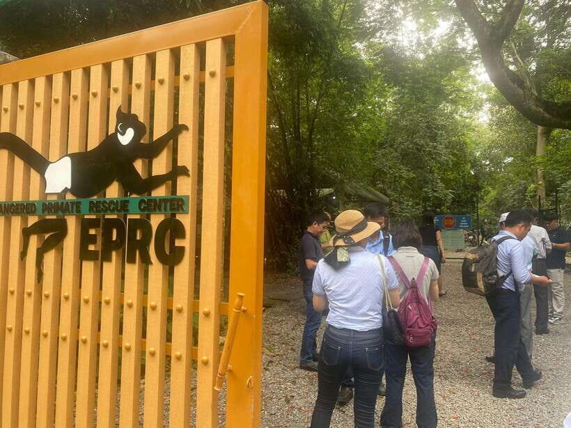 From Ninh Binh: Cuc Phuong National Park 1-Day Small Group - Lunch at the Park Entrance: Fuel Without the Hunt