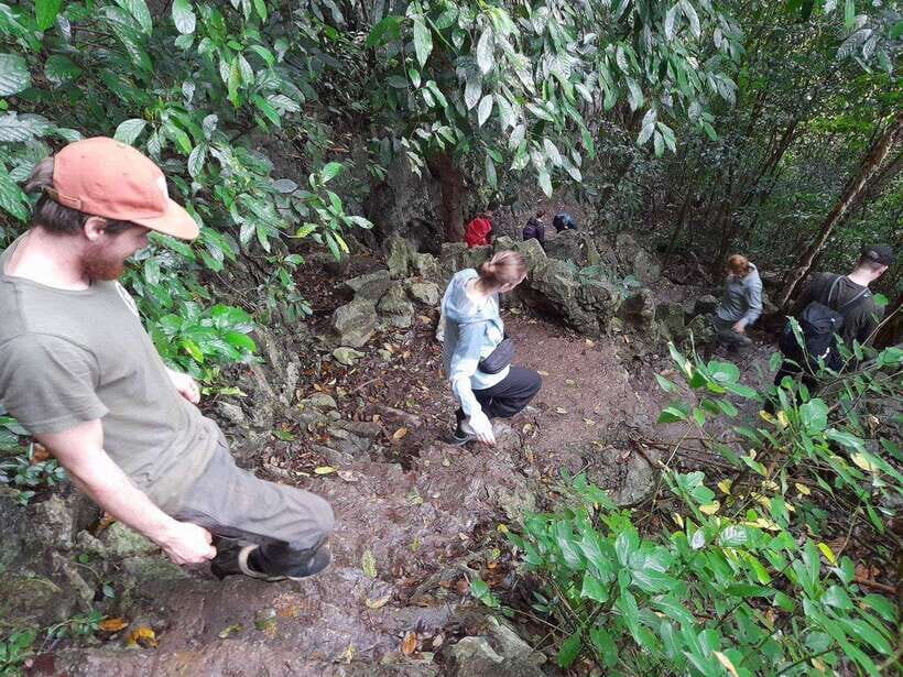 From Ninh Binh: Cuc Phuong National Park Trekking Day Tour - Cuc Phuong Museum: Preservation, Specimens, and Park Storytelling