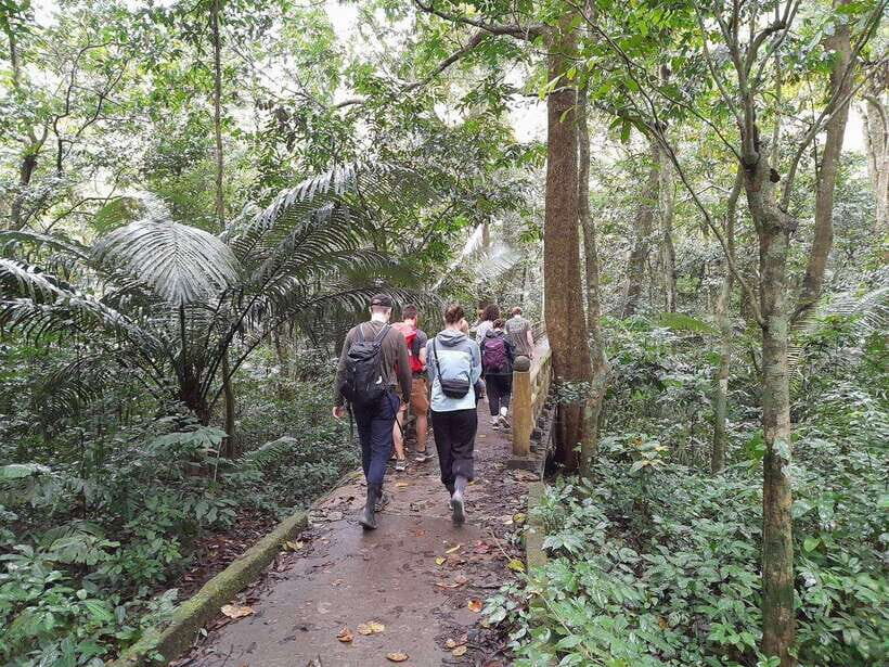 From Ninh Binh: Cuc Phuong National Park Trekking Day Tour - Lunch Inside the Park: The Break That Keeps the Trek Enjoyable