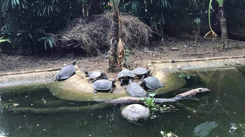 From Ninh Binh: Cuc Phuong - Van Long Small Group Tours - What to bring (so your day feels easy, not miserable)