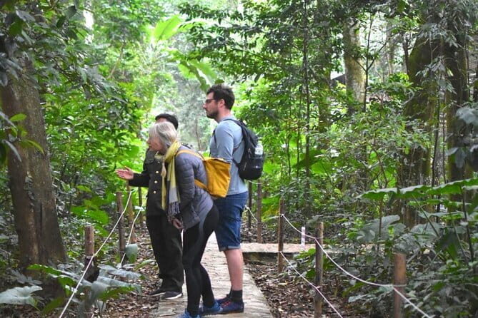 From Ninh Binh to Cuc Phuong National Park, Trekking and Jungle - Key things to know before you go