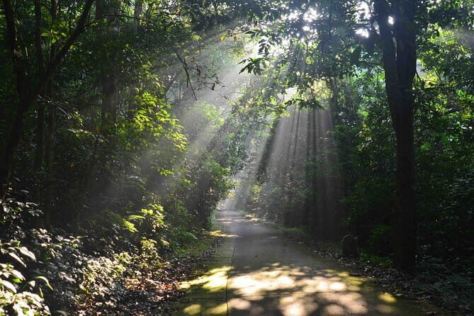From Ninh Binh to Cuc Phuong National Park, Trekking and Jungle - Historic Man’s Cave at late morning