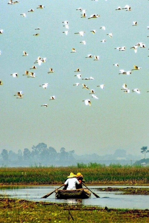 From Ninh Binh: Visit Cuc Phuong National Park - Van Long - How the day flows from Ninh Binh to Cuc Phuong, then Van Long